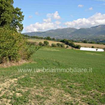 Terreno in vendita a Todi (Perugia)