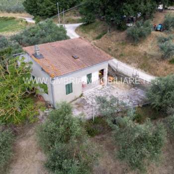 Casa singola in vendita a Collazzone (Perugia)