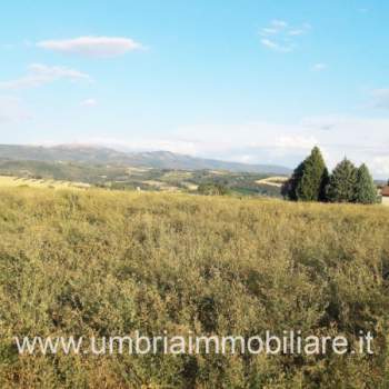 Terreno in vendita a Todi (Perugia)