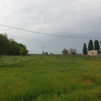 Terreno in vendita a Correggio (Reggio nell'Emilia)