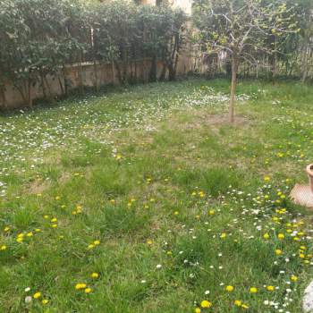 Appartamento in vendita a Carpi (Modena)