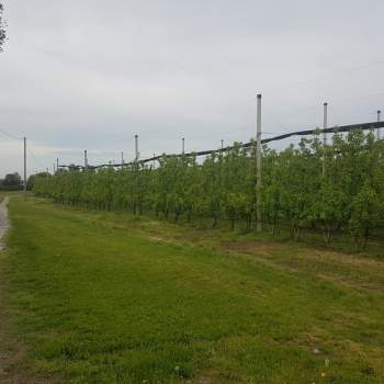 Terreno in vendita a Soliera (Modena)