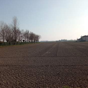 Terreno in vendita a Sant'Urbano (Padova)