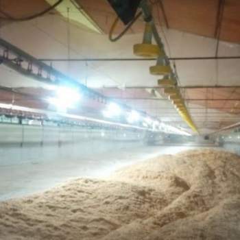 Capannone in vendita a Padova (Padova)