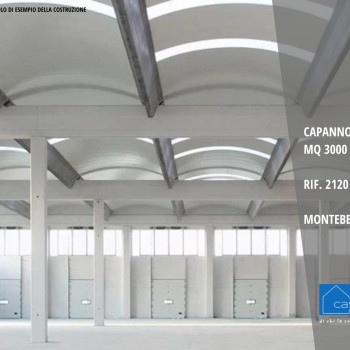 Capannone 3.000 mq Montebelluna (TV) Rif. 2120