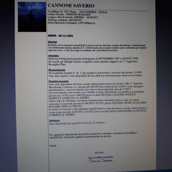 ESPERTO RAGIONIERE CONTABILE DAL 1991.