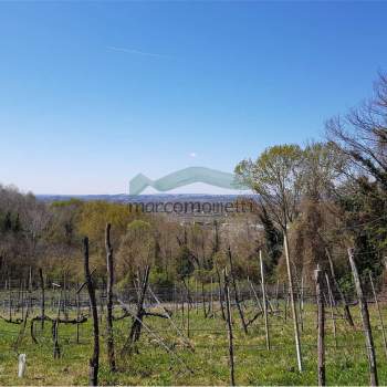 TERRENO EDIFICABILE DI 12.000 MQ IN ZONA COLLINARE a Sarmede