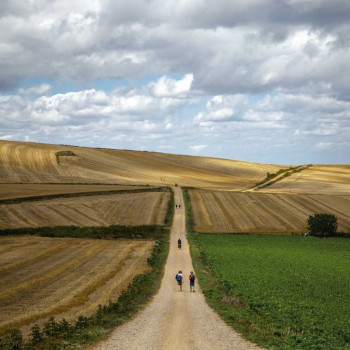 Cammino di Santiago di Compostela!!